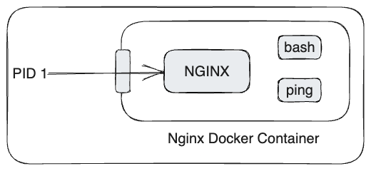 nginx-docker-container-exec-wiki-antoine-chiris.png